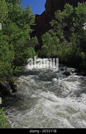 Tapeats Creek im schweren Sommerfluss am Upper Tapeats Campground im Grand Canyon National Park, Arizona. Stockfoto