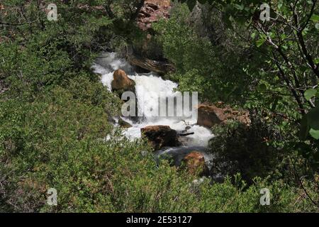 Tapeats Creek im schweren Sommerfluss am Upper Tapeats Campground im Grand Canyon National Park, Arizona. Stockfoto