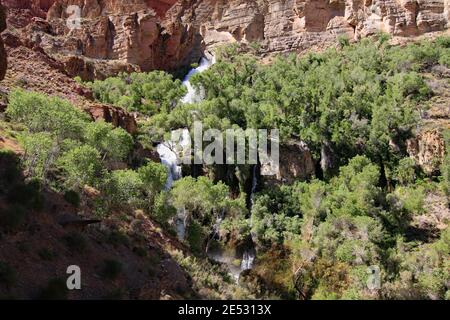 Thunder River fließt von seiner Quelle in Canyon Wand in Richtung Zusammenfluss mit Tapeats Creek im Grand Canyon National Park, Arizona. Stockfoto