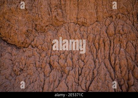 Erodierte Landformen in einer Schlucht Kodachrome Basin State Park, Utah, USA. Stockfoto