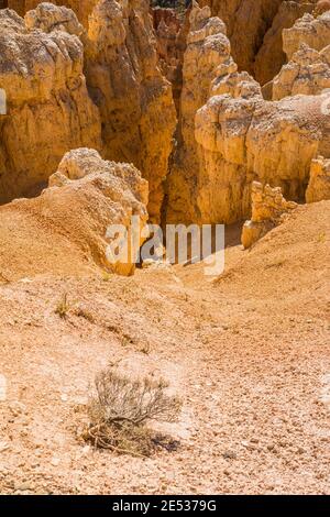 Blick auf Felsstrukturen namens Hoodoos im Bryce Canyon National Park, Utah, USA. Stockfoto