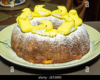 Babka ist ein schwammiges Hefegebäck, das traditionell am Ostersonntag in Polen, Weißrussland, der Ukraine und Westrussland gebacken wird Stockfoto