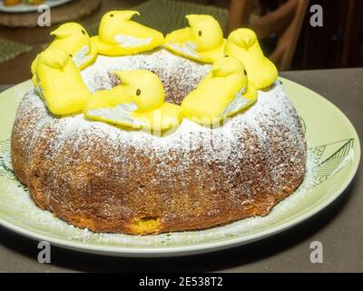 Babka ist ein schwammiges Hefegebäck, das traditionell am Ostersonntag in Polen, Weißrussland, der Ukraine und Westrussland gebacken wird Stockfoto