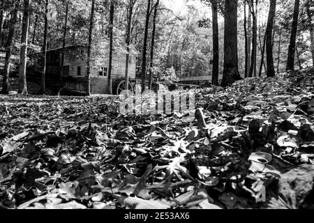 Bethel, Alabama/USA - Nov 10, 2018: Gefallene Blätter auf dem Waldboden im Fokus im Vordergrund mit der alten Schiefermühle im Hintergrund in schwarz und schwarz Stockfoto