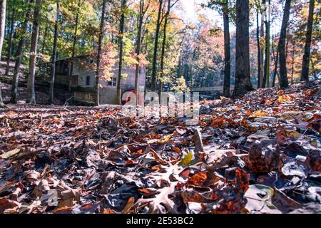 Bethel, Alabama/USA - Nov 10, 2018: Gefallene Blätter auf dem Waldboden im Vordergrund mit der alten Grummmühle im Hintergrund am Clar Stockfoto