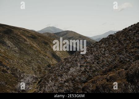 Bergblick am Anfang des Razorback Wandertrailhead zum Mount Feathertop. Von der Straße in der Nähe des Mount Hotham Summit Area. Stockfoto