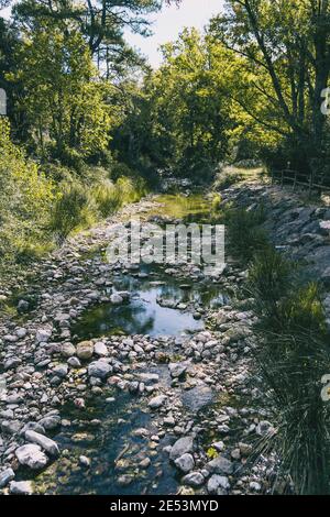 Ruhiger Bach mit vielen Steinen auf dem Weg, umgeben von viel grünem Wald in katalonien, spanien Stockfoto