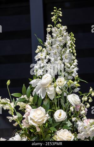 Beeindruckendes floristisches Bouquet von weißen Rosen und Delphinium - grün Drehen Stockfoto