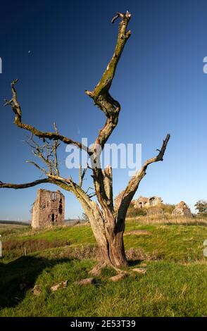 Die Überreste des mittelalterlichen Schlosses von Sanquhar, Heimat der Crichton Familie, in Upper Nithsdale Schottland Stockfoto