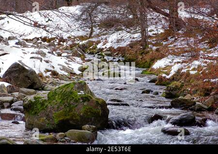 Winterfoto eines kleinen Flusses mit Show, Felsen und Blättern im Hintergrund Stockfoto