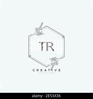 TR Beauty Vektor anfängliche Logo Art, Handschrift Logo der ursprünglichen Signatur, Hochzeit, Mode, jewerly, Boutique, floral und botanisch mit kreativen temp Stock Vektor