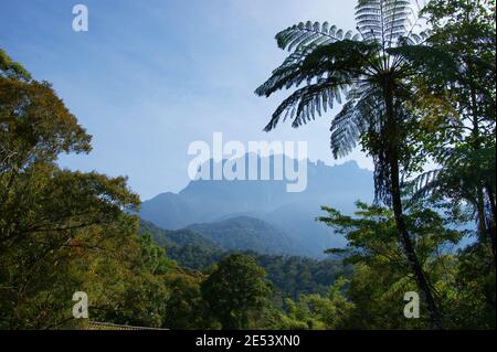 Kinabalu National Park, Sabah, Borneo, Malaysia Stockfoto