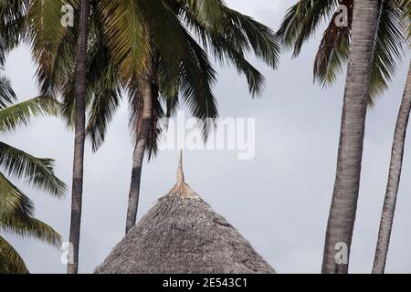 Tropischer abstrakter Hintergrund, atmosphärische Stimmung exotischer Feiertage. Strohdach aus der Nähe unter Palmen. Detail der Hütte im Paradies Resort. Stockfoto