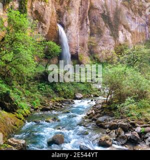 Wasserfall in einer natürlichen Umgebung voller Pflanzen Stockfoto