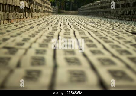Ein Ziegel ist eine Art von Block verwendet, um Wände, Gehwege und andere Elemente in Mauerwerk Bau zu bauen Stockfoto