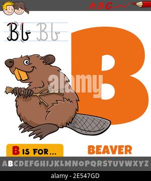 Pädagogische Karikatur Illustration des Buchstaben B aus Alphabet mit Biber Tierischer Charakter für Kinder Stock Vektor