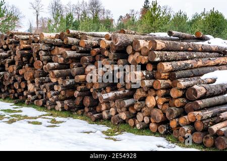 Stapel von Brennholz aus Holz. Frisch gehackte Baumstämme übereinander in einem Stapel gestapelt. Ernte von Holz. Brennholz ist eine erneuerbare Energie sauer Stockfoto