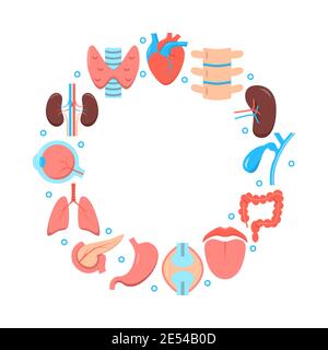Medizinisches Rundposter mit menschlichen Organikonen im flachen Stil. Science-Banner. Vektorgrafik. Stock Vektor