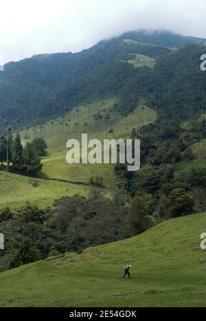 Das Valle de Corcora, ein Eingang zum Parque Nacional de los Nevados, Kolumbien Stockfoto