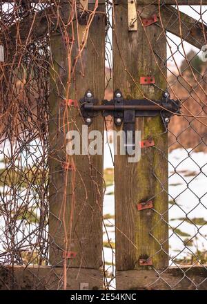 Holztor Tür verriegelte Eingang mit Schnee Garten bedeckt. Winter Saison Dieb geschützten Bereich. Stockfoto