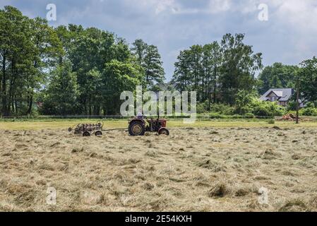 Alter Agrar-Motor mit Heuwendermaschine auf einem Feld in der Woiwodschaft Masowien, Polen Stockfoto