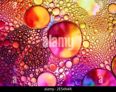 Abstrakte Fotografie von Öl und Seifenblasen mit gelben, blauen, rosa und roten Farben, in einer Glasschale mit Wasser Stockfoto