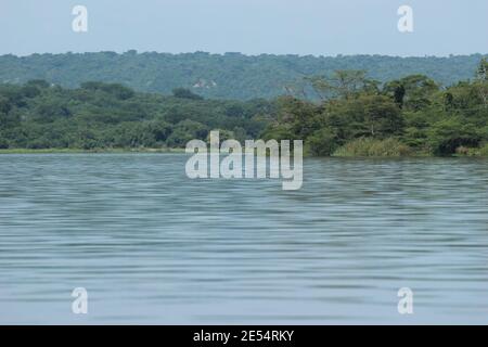 Der Victoria Nil im Nordwesten Ugandas Stockfoto