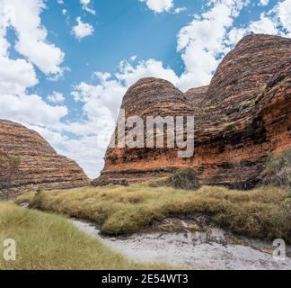 Bungle Bungles, Purnululu National Park, Kimberley Region, Western Australia, Australien Stockfoto