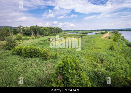 Luftaufnahme auf einer West oder vom Aussichtsturm in Mescherin, Gemeinde im Landkreis Uckermark im Bundesland Brandenburg in Deutschland Stockfoto