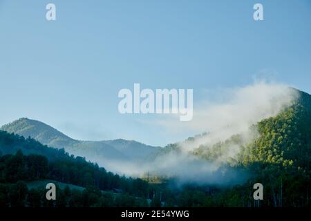Grüner Berg Natur Sonnenaufgang am Morgen mit Nebel Stockfoto