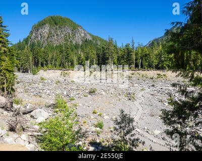 Der Mount Rainier National Park ist ein amerikanischer Nationalpark Im Südosten Pierce County und Nordosten Lewis County in Washington Staat.der Park wa Stockfoto