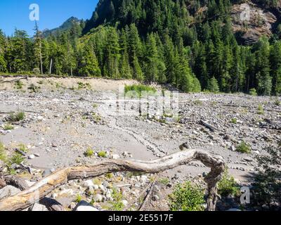 Der Mount Rainier National Park ist ein amerikanischer Nationalpark Im Südosten Pierce County und Nordosten Lewis County in Washington Staat.der Park wa Stockfoto