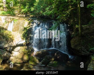 Whatcom Falls Park ist ein 241 Hektar (0.98 km2) Park in Bellingham, Washington, USA. Die Wasserfälle befinden sich auf Whatcom Creek, der vom Lake Whatc führt Stockfoto