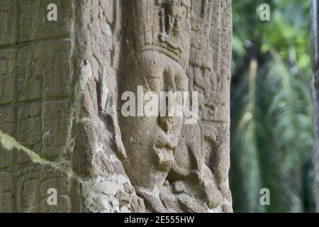 Quirigua, Guatemala: Stela des maya-Herrschers in Quirigua. Quirigua ist eine archäologische Stätte der Maya im Departement Izabal. Stockfoto