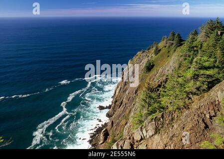 Steilküsten, Oswald West State Park, Oregon Stockfoto