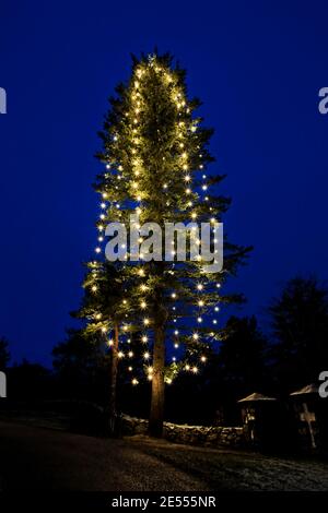 Beleuchteten Christbaum von Uskela Kirche in der blauen Stunde des frühen Morgens zu Weihnachten. Salo, Finnland. 2020. Stockfoto