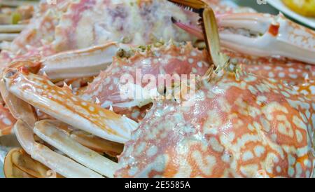 Nahaufnahme von gekochten und gekochten Blütenkrabben, Portunus armatus. Stockfoto