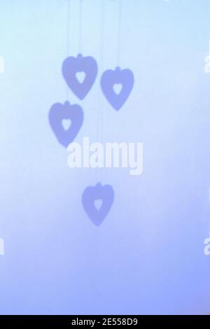 Herzen und Herzschatten Formen sich an einer farbigen Wand Hintergrund Stockfoto