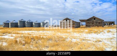 Panorama von alten Scheunen und Getreidekörnern in einem Feld im Winter in der Nähe von townsend, montana Stockfoto