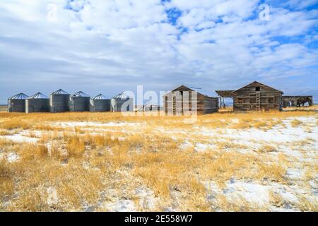 Alte Scheunen und Getreidebehälter auf einem Feld im Winter in der Nähe von townsend, montana Stockfoto