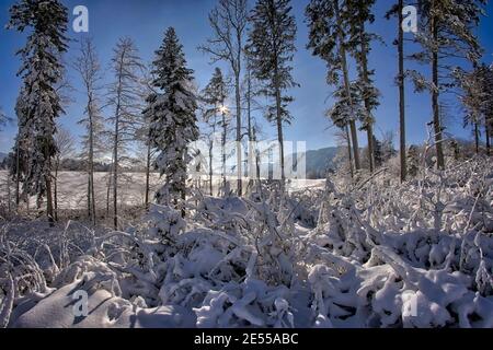 DE - BAYERN: Winterszene in Buchberg bei Bad Tölz (HDR-Bild) Stockfoto