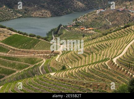 Malerische Landschaft der Alto Douro Weinberge - UNESCO-Weltkulturerbe. Alto Douro Vinhateiro, Portugal. Stockfoto