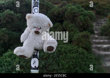 Kuscheliges Bärenspielzeug hing auf dem Wanderschild entlang des Howth Cliff Walk Path, Howth, Dublin, Irland Stockfoto