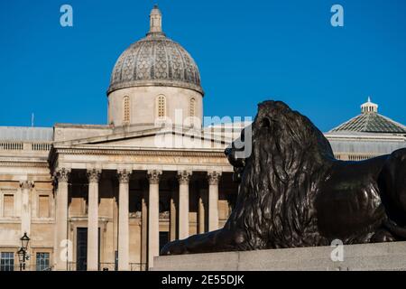 Löwenskulptur vor der National Gallery am Trafalgar Square, London, Großbritannien Stockfoto