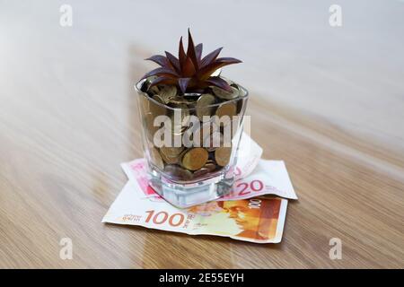 Kaktus in einem Glas Geld auf einem Ständer aus israelischen Schekel-Banknoten. Wirtschaftswachstum Stockfoto