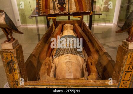 Djeddjehutyiuefankhs Mumie in einem Grabsarg, aus dem Großen Tempel, Western Theben, Ashmolean Museum, Oxford UK. Stockfoto