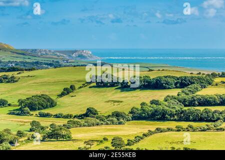 Blick über die Purbeck-Hügel Richtung Lulworth. Stockfoto