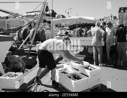 Frischer Fang wird ausgeladen und auf dem nahe gelegenen Street Fish Market am Pier am Hafen verkauft. Trouville-sur-Mer, Frankreich. Schwarz weiß historisches Foto Stockfoto