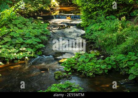 Der obere Bereich des Flusses Dove. Stockfoto