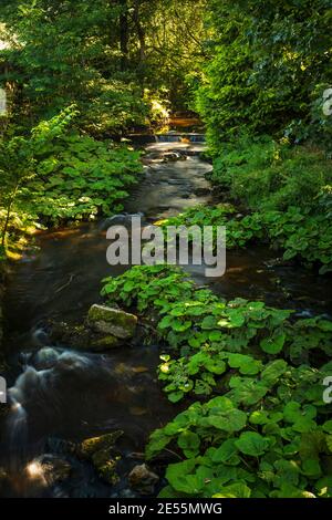 Der obere Bereich des Flusses Dove. Stockfoto